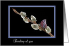 thinking of you, butterfly on pussy willow branch card