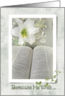 Easter lily with Holy Bible card