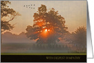 Sympathy, morning sunrise with tree and flock of geese card