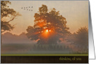 thinking of you-sunrise in misty tree with geese card