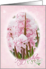 Birthday-pink hyacinths in snow card