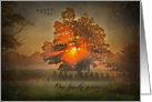 Sympathy from family-sunbeams in tree with flying geese card