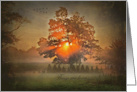 Sunrise Sunbeams In Tree With Flying Geese For Sympathy card