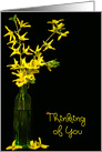 thinking of you, lady bugs on forsythia bouquet in green vase card