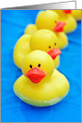 pool party invitation with yellow rubber ducks in swimming pool card