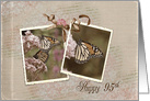 95th birthday, monarch butterfly on milkweed vintage photo card