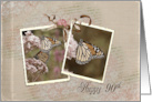 90th birthday monarch butterfly in snapshot card