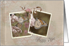 70th Birthday for Grandma with Snapshot Photos of Monarch Butterflies card