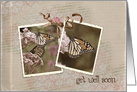 Get Well Soon, monarch butterfly photo snapshots card