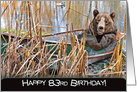 83rd birthday-bear in rusty row boat in weeds card
