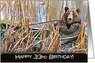 33rd birthday, smiling bear in rusty row boat and weeds card