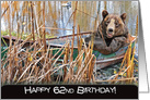 62nd birthday, smiling bear in rusty row boat in pond weeds card