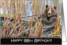 88th birthday bear in rusty green row boat and weeds card