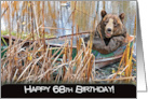 68th Birthday, Bear In Rusty Rowboat card