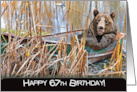 Bear In Rusty Row Boat For 67th Birthday card