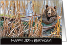 37th birthday, bear in rusty row boat card