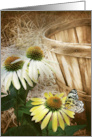 Butterfly On A Cone Flower For Thinking Of You card
