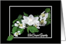 Sympathy White Lotus Candle with Dogwood Flowers on Black card