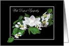 sympathy for loss of sister, lily candle with dogwood on black card
