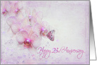23rd anniversary, butterfly on pink orchid blossom with bubbles card
