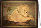 Miss you, sad golden retriever puppy in bucket card