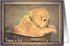Thinking of you golden retriever puppy in antique washtub card