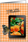 miss you, butterfly, pansy, flower card