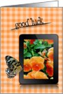good luck, butterfly, pansy, flower card