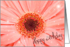 mom, daisy, macro, pink, flower, birthday card