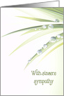sympathy dew drops on leaf on white background card