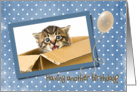 Birthday-kitten in cardboard box with balloon on polka dot background card