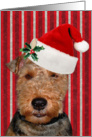 Christmas, Welsh Terrier, Santa hat, stripes card