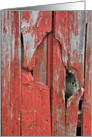 cat peeking out of barn siding hole card