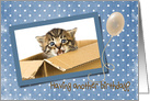 Sister’s Birthday kitten in a box on polka dot background with balloon card