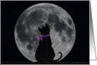 cat, moon, Miss You, silhouette, friend card