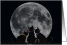 cat, moon, Miss You, silhouette, friendship card