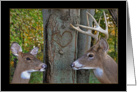 anniversary with deer and carved heart on tree card