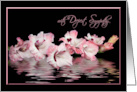 Pink Gladiolus with Water Reflection for Sympathy card