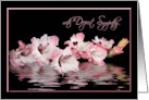 Pink Gladiolus with Water Reflection for Loss of Mother Sympathy card