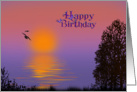 sunrise over water with bird silhouette for birthday card