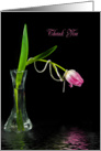 thank you, tulip, flower, pearl card