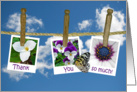 thank you floral photos on clothesline with butterfly card