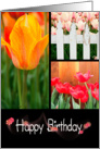 birthday tulip collage card