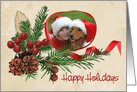 Happy Holidays photo card with red ribbon frame and pine card