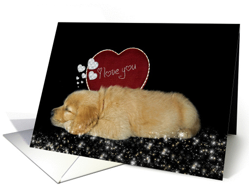 valentine golden retriever puppy with red heart card (1015335)