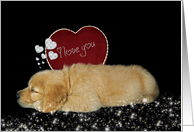 Miss You valentine golden retriever puppy with red heart card