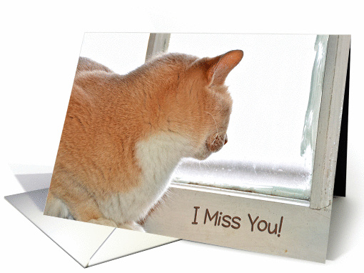 Miss You with tabby cat looking out of a window card (1018249)