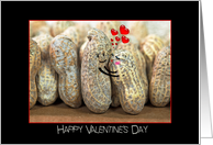 Valentine’s Day pair of peanuts hugging with red hearts card