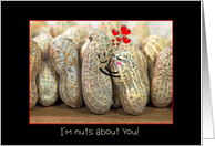 I Love You, pair of peanuts hugging with red hearts card