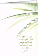 Wedding Vow Renewal invitation with sparkling dewdrops on leaf card